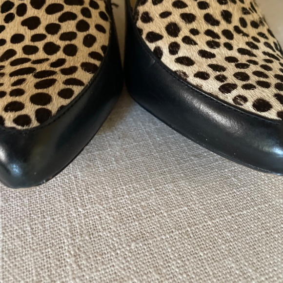 Black Ann Taylor Pumps with an Animal Print Vamp - Picture 3 of 7